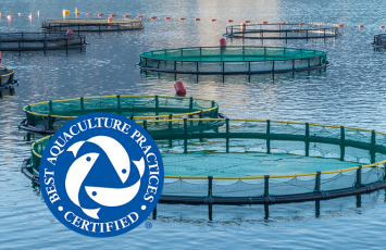 bureau veritas BAP sea food certification